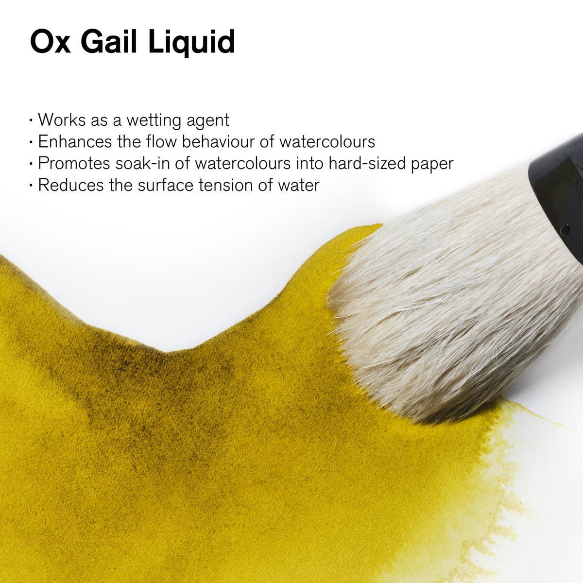 Winsor and Newton - Ox Gall Liquid - 75ml