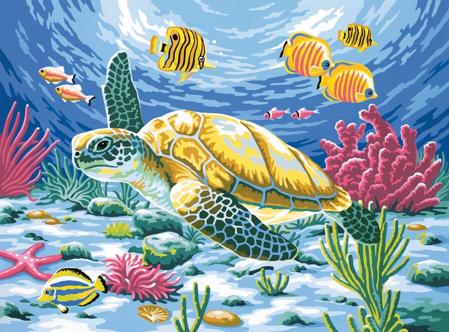 Reeves Paint by Numbers Large 12x16 inch - Sea Turtle
