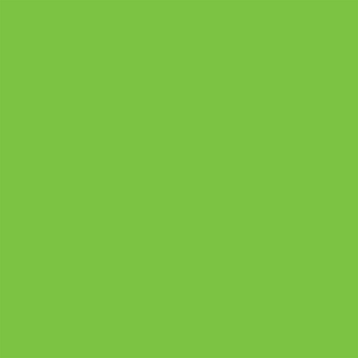Winsor & Newton - Promarker Brush - Bright Green - BrushMarker