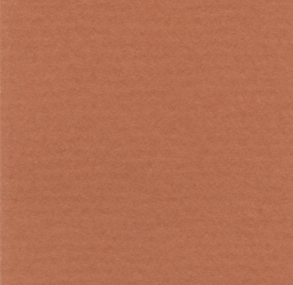 Hahnemuhle - Pastel Paper - Lanacolours - A4 - Ochre