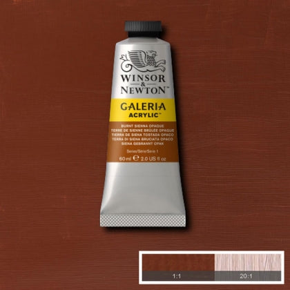 Winsor and Newton - Galeria Acrylic Colour - 60ml - Burnt Sienna Opaque