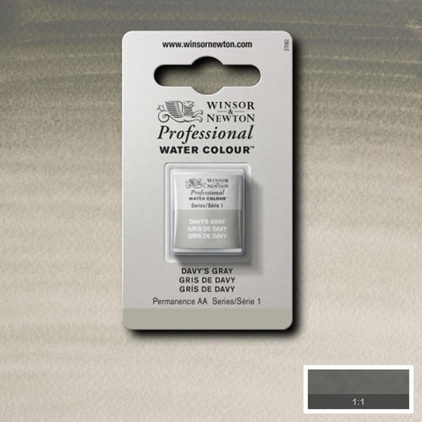 Winsor and Newton - Professional Artists' Watercolour Half Pan - HP - Davy's Grey