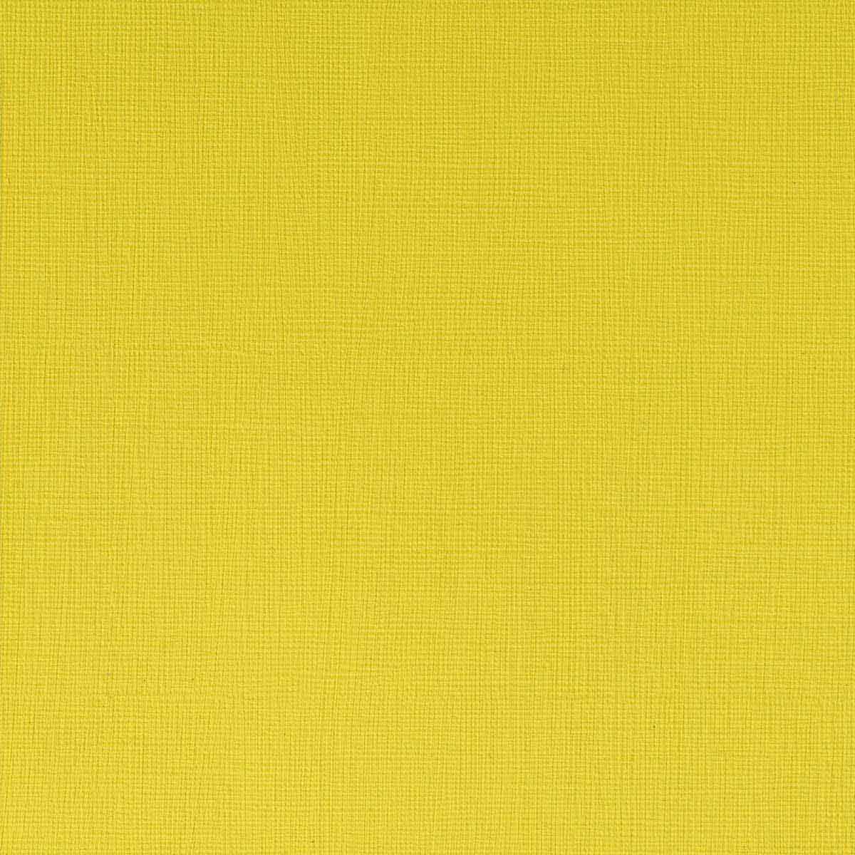 Winsor and Newton - Professional Artists' Acrylic Colour - 60ml - Cadmium Lemon