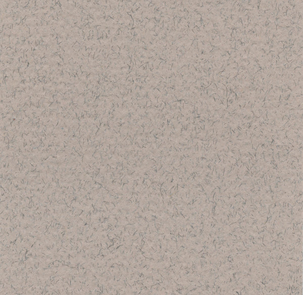 Hahnemuhle - Pastel Paper - Lanacolours - 50x65cm - Moon Stone
