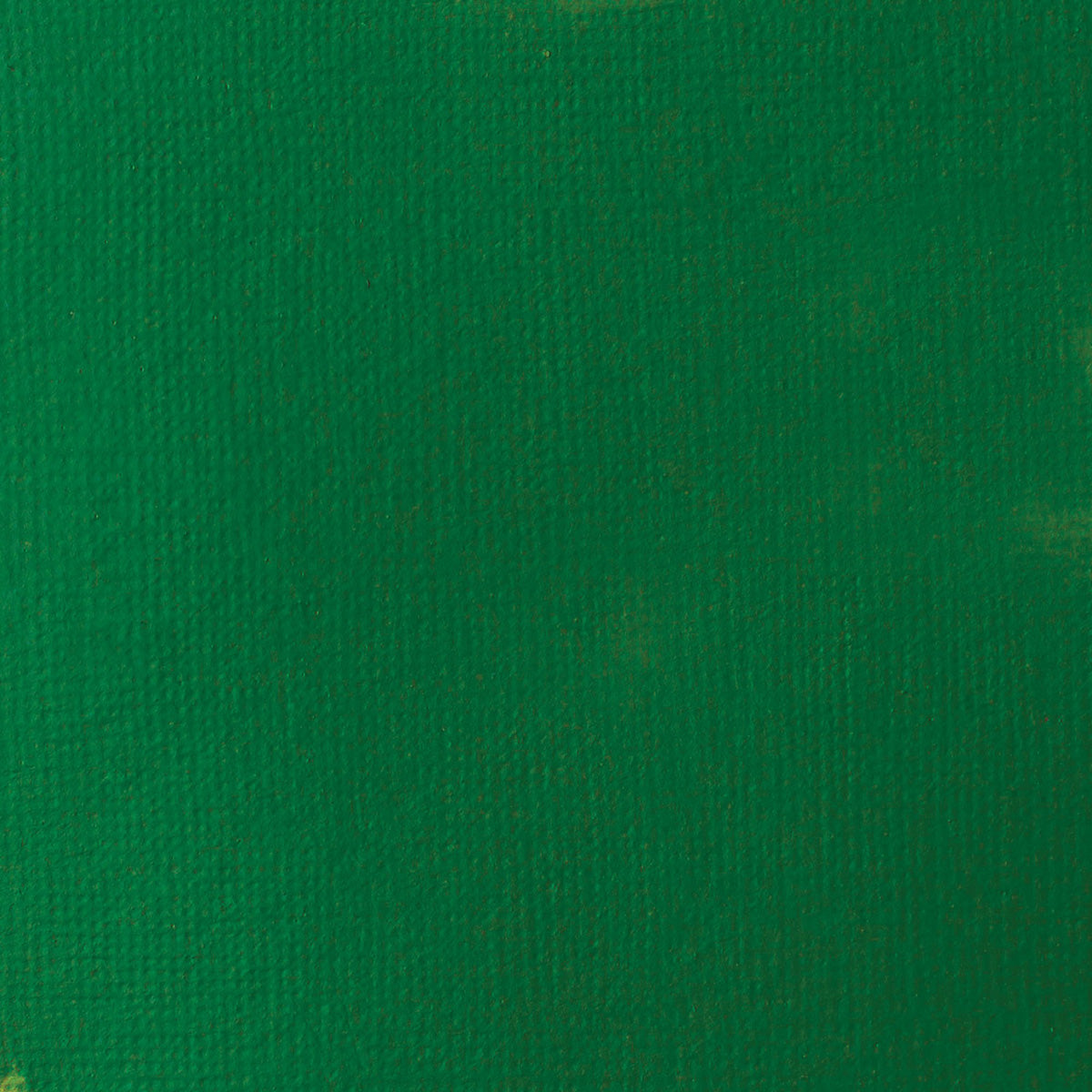 Liquitex Basics Fluid Acrylic 118ml - Hookers Green Hue Permanent S1