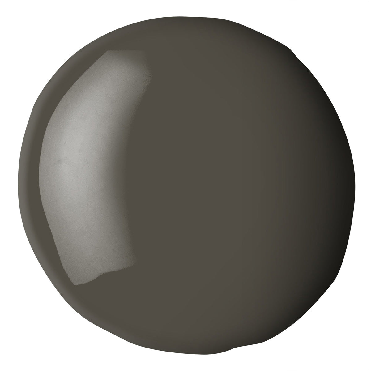 Liquitex Basics Acrylique Fluide 118ml - Terre d’ombre brute S1