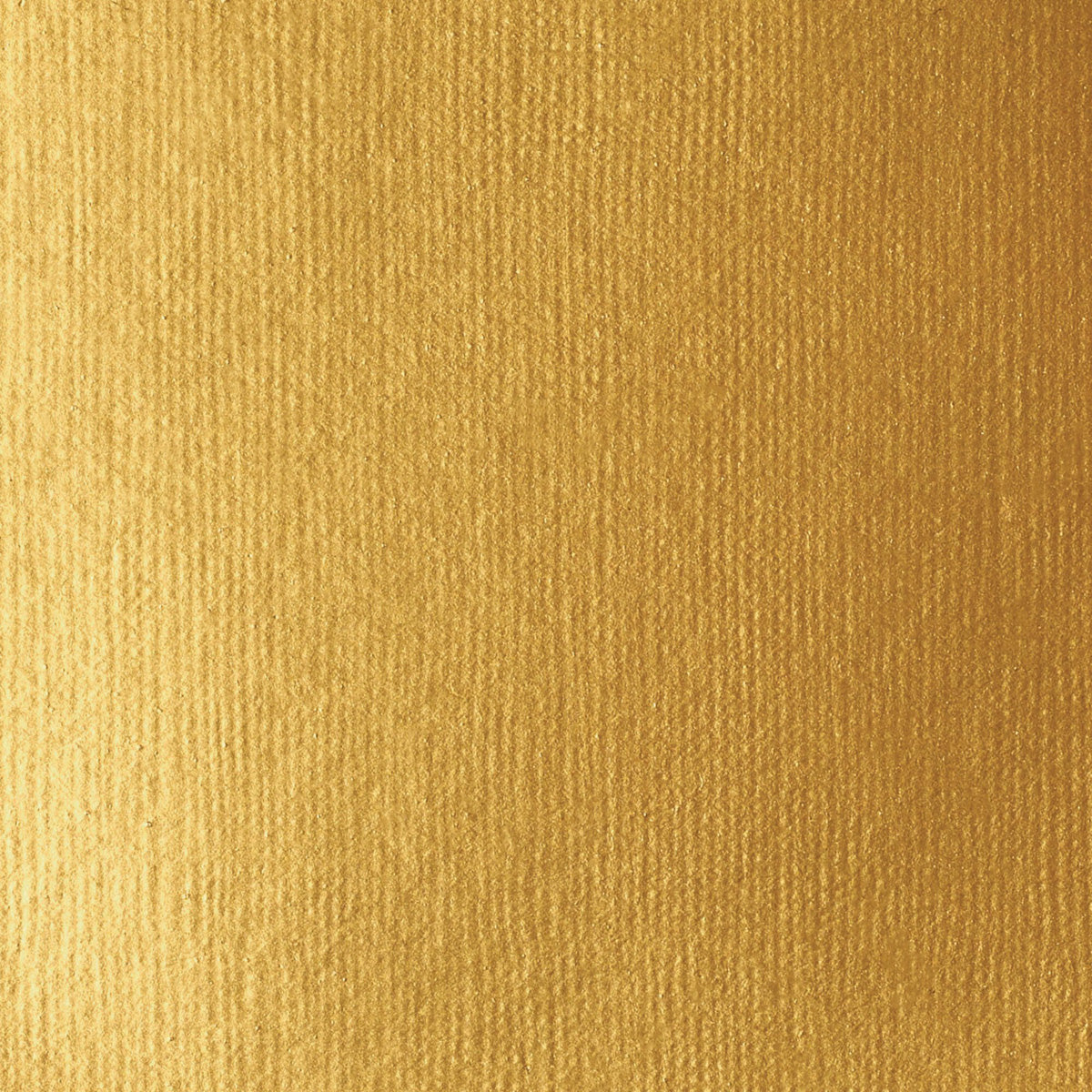 Liquitex Basics Fluid Acrylic 118ml - Gold S2