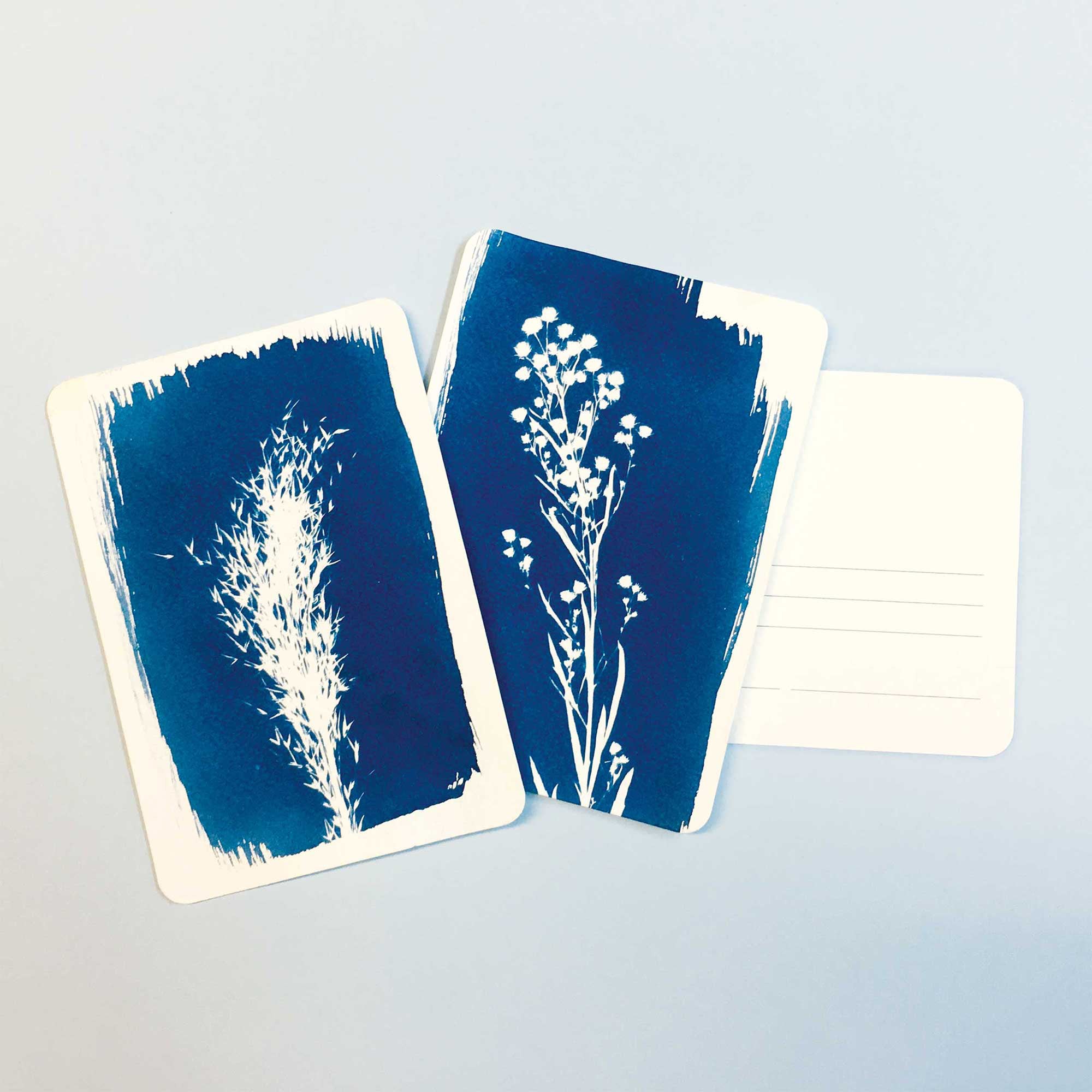 PAR - Cyanotype kit - Postcard