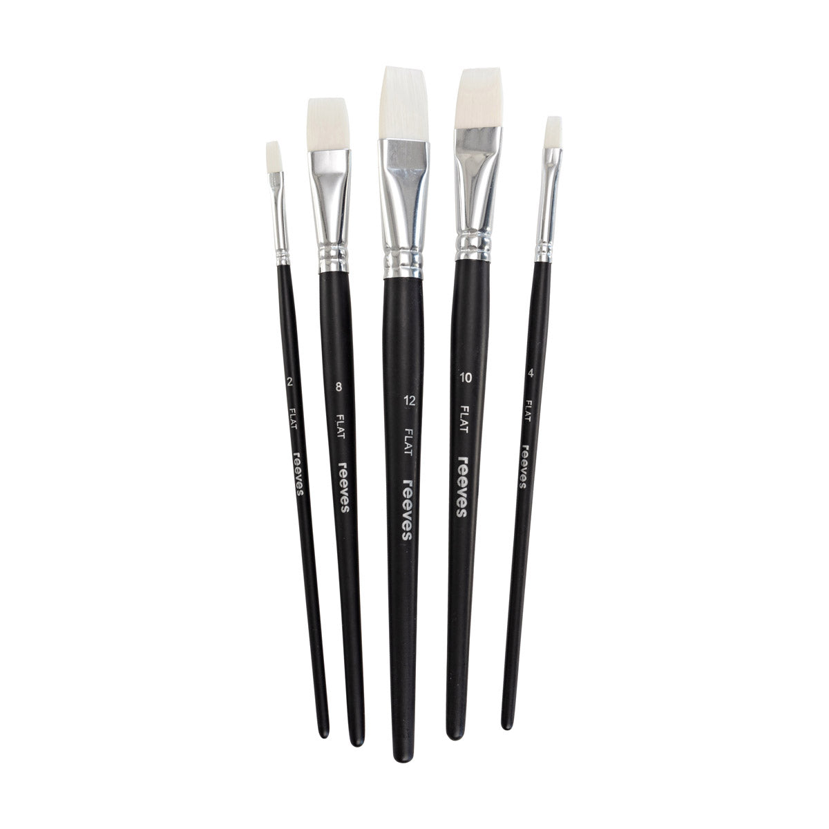 Reeves - Acrylic Brush set - Short Handle Flat - 5x Brush Pack