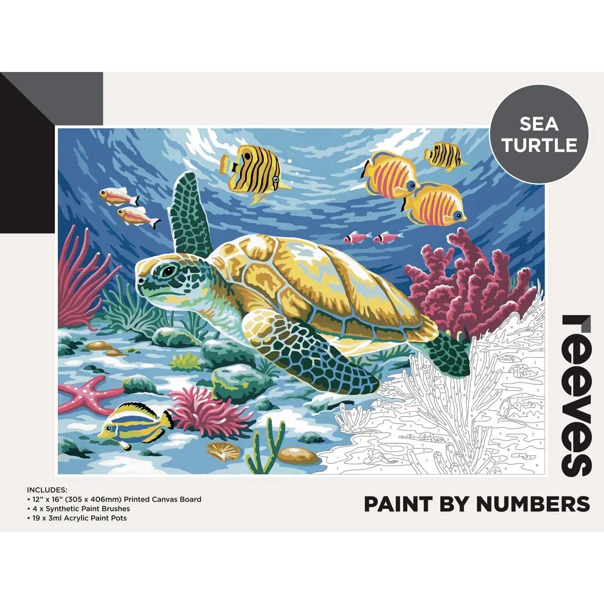 Reeves peinture par nombre de grands 12x16 pouces - tortue de mer