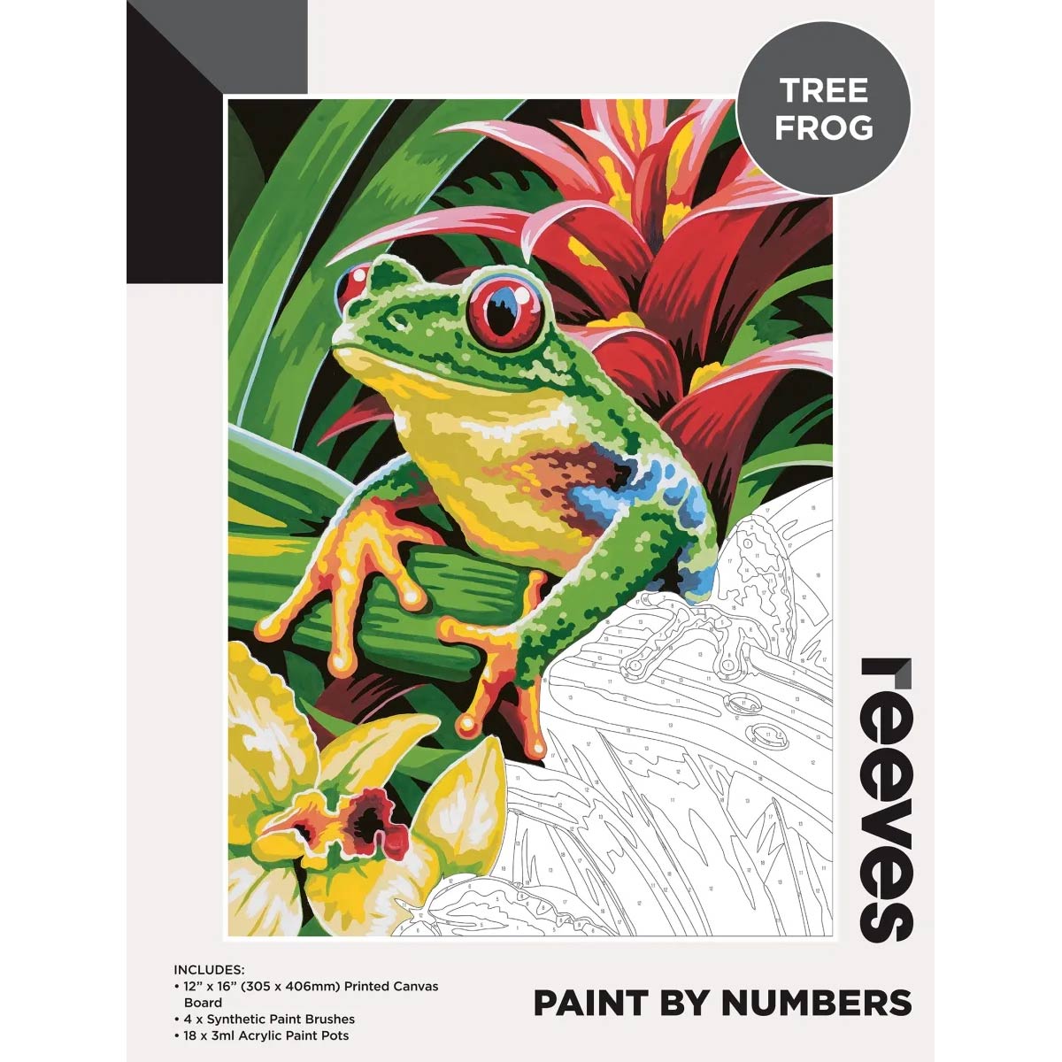 Reeves Paint by Numbers Large 12x16 inch - Tree Frog