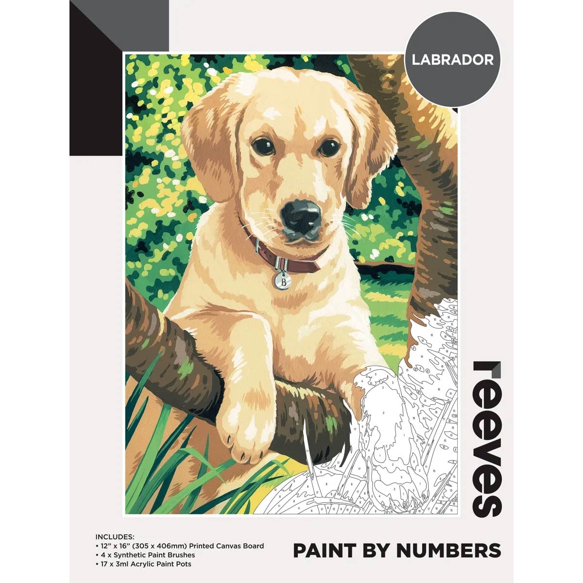 Reeves Paint in numeri grandi 12x16 pollici - Labrador