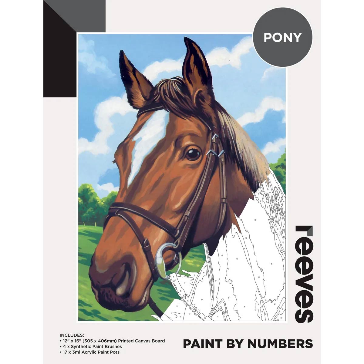 Reeves peinture par nombre de grands 12x16 pouces - poney
