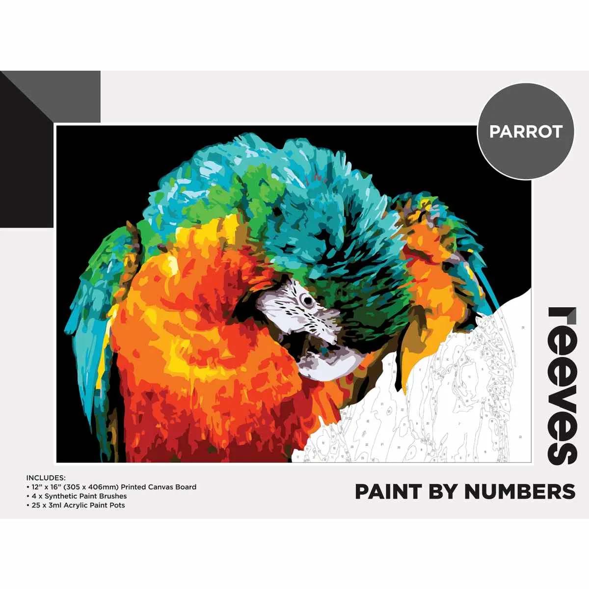 Reeves Farbe nach Zahlen groß 12 x 16 Zoll - Papagei