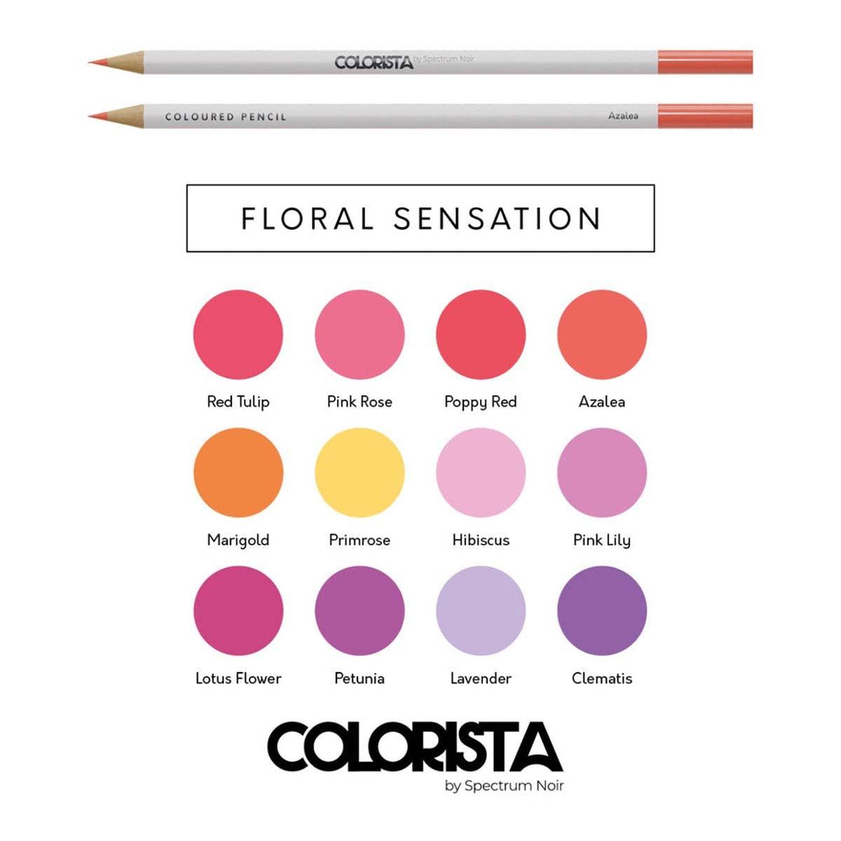 Spectrum Noir Colrista - Crayons de coloriage (12 ensembles) Sensation florale