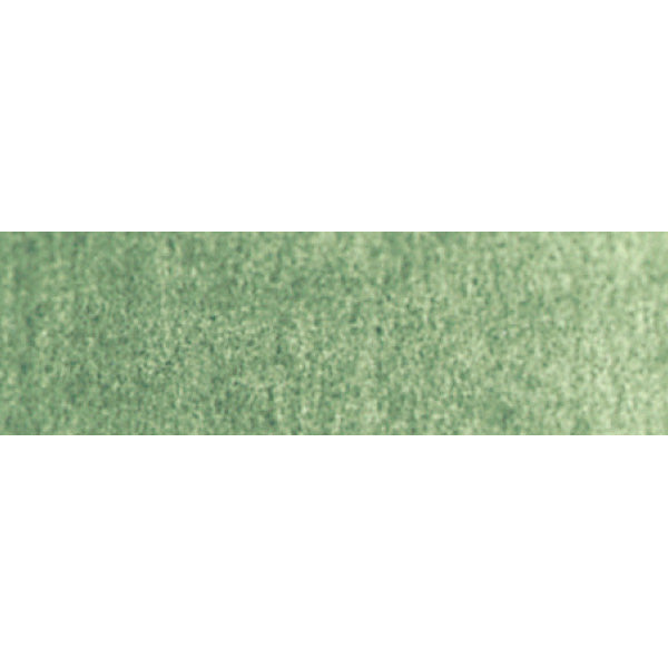 Winsor e Newton - Watercolor degli artisti professionisti - 5 ml - Terre Verte