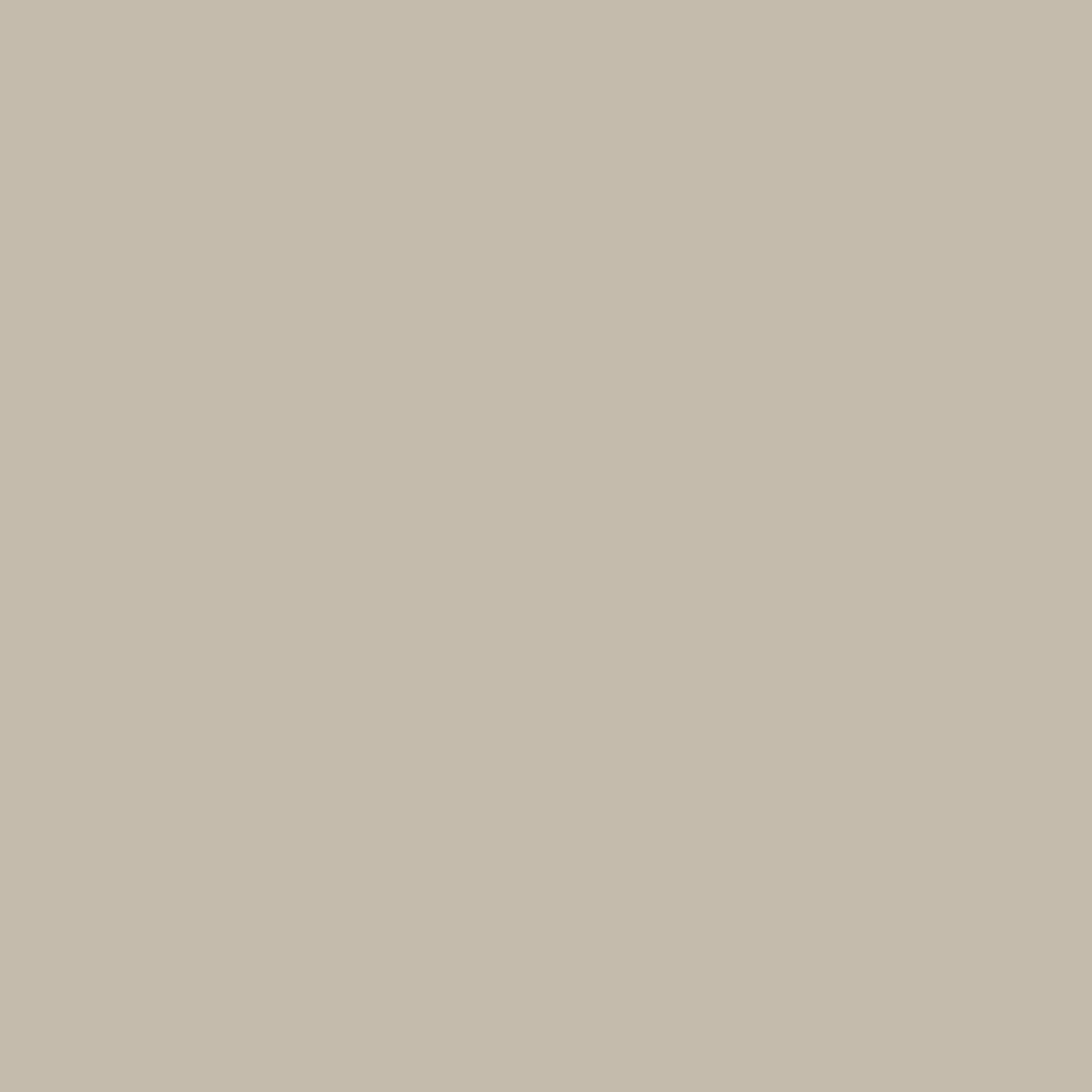 Winsor & Newton - Promorker - Warm Grey 3 WG04