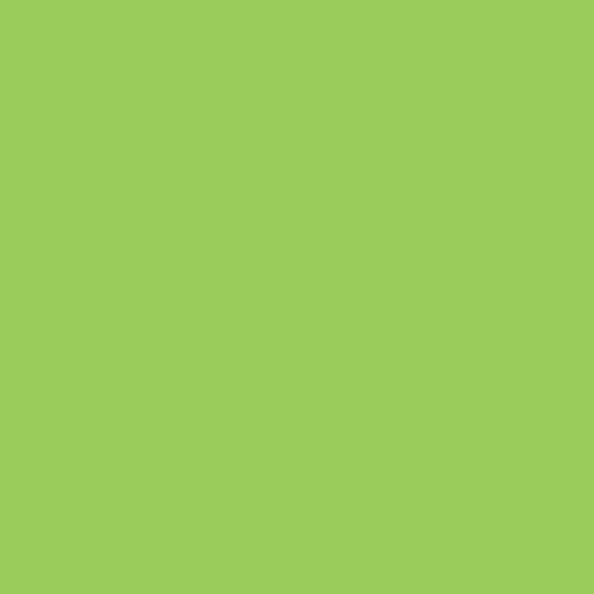 Winsor & Newton - Promorker - Leaf Green- G258