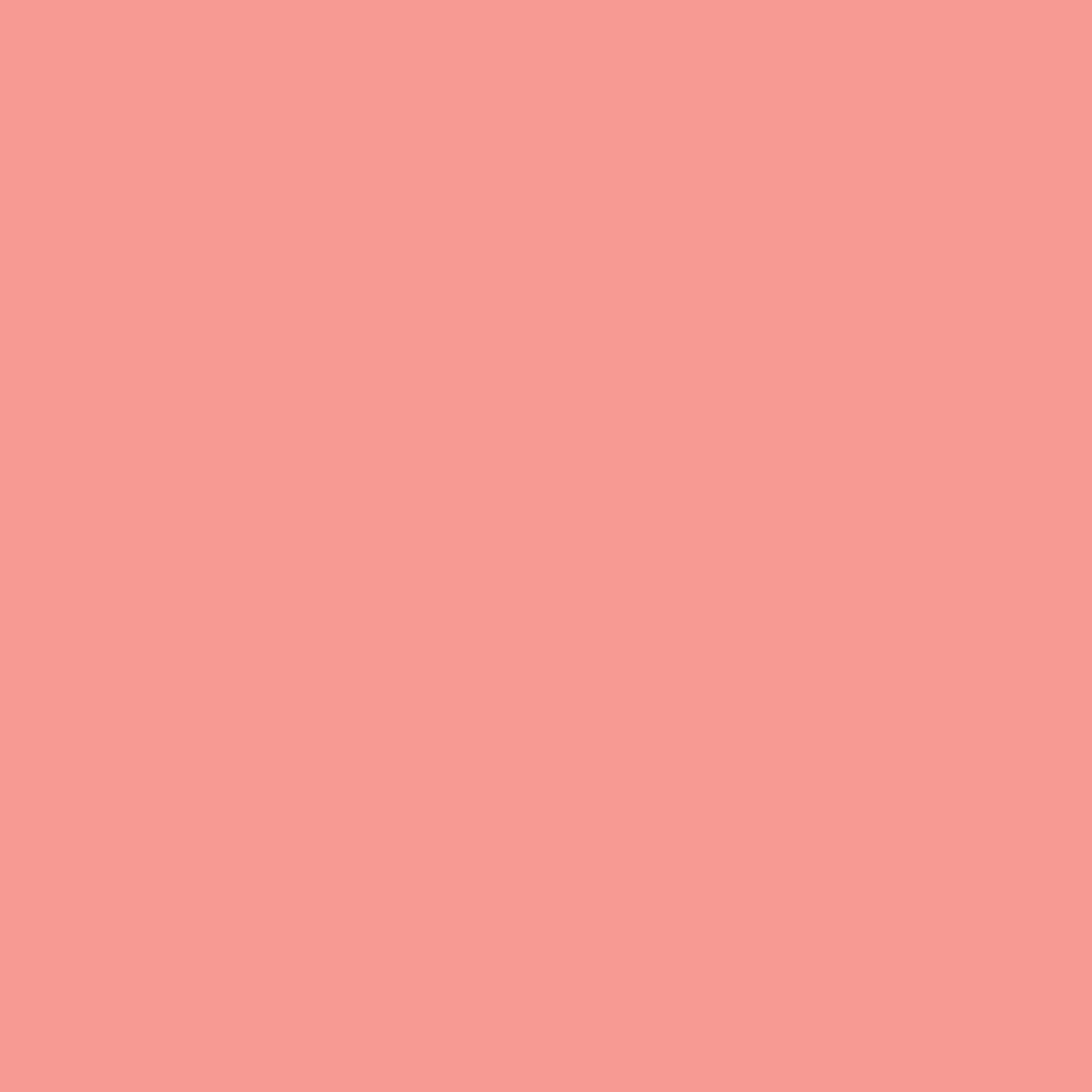 Winsor & Newton - Promorker - Salmon Pink R547