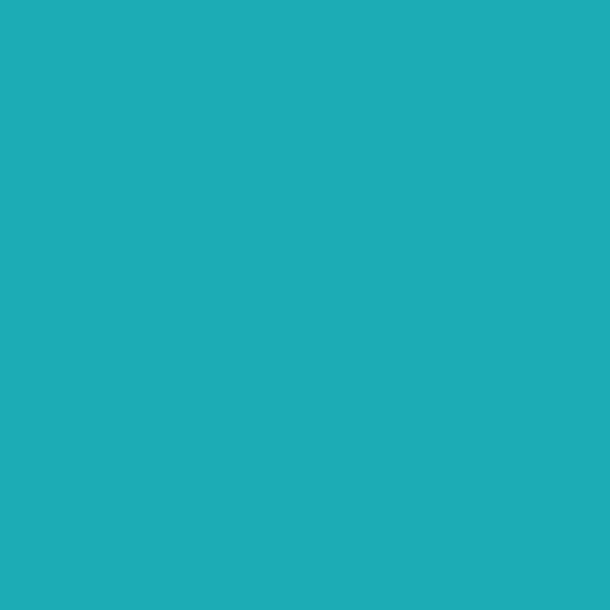Winsor & Newton - Promorker - Turquoise C247