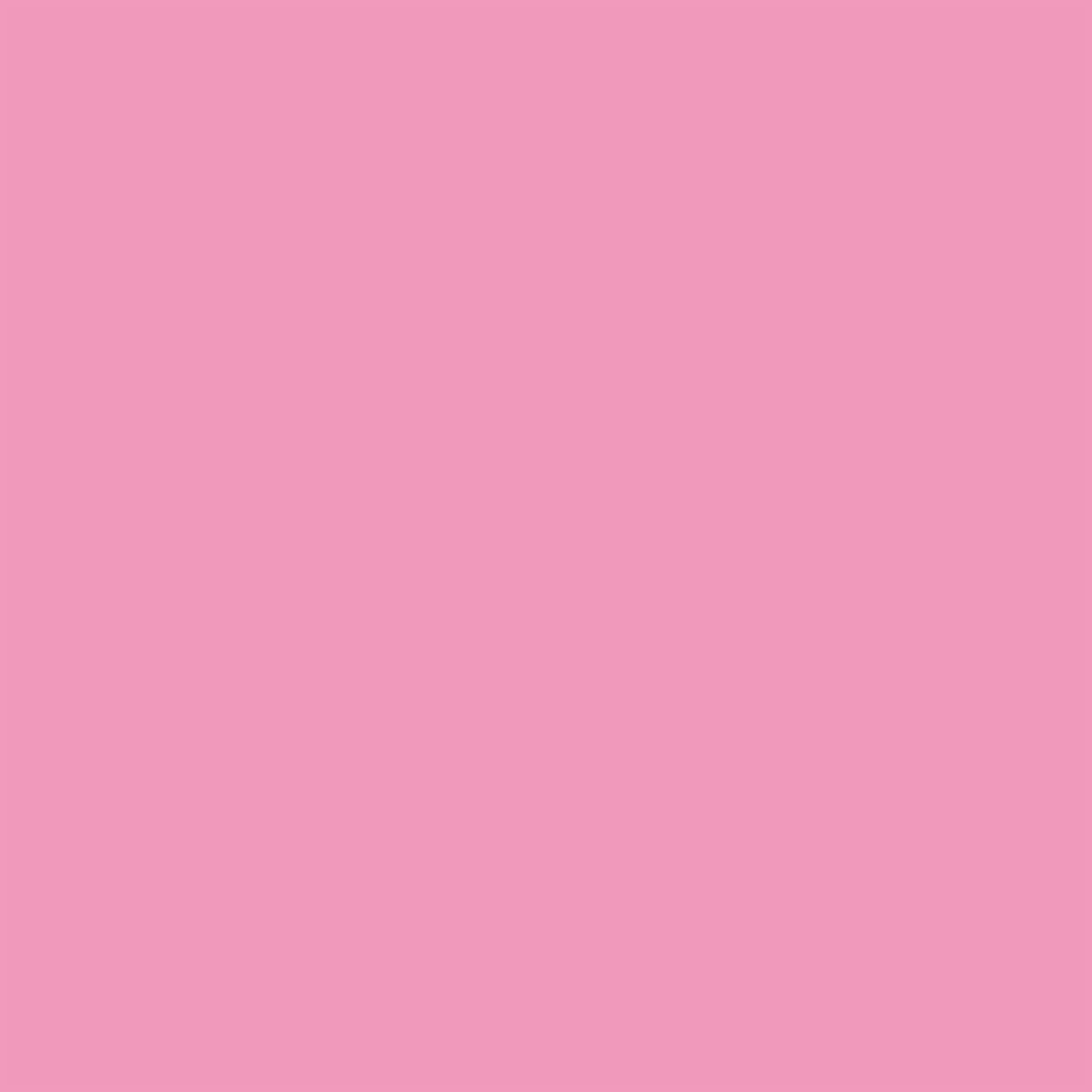 Winsor & Newton - Promorker Brush - Rose Pink - Brushmarker