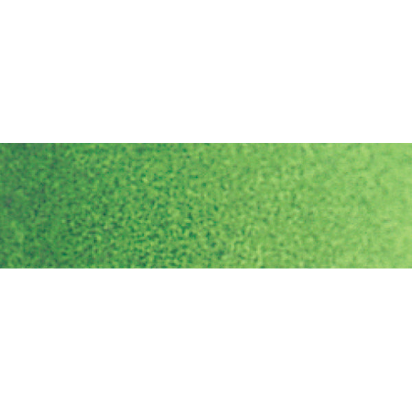 Winsor e Newton - Cotman WaterColor Half Pan - Hookers Green Light