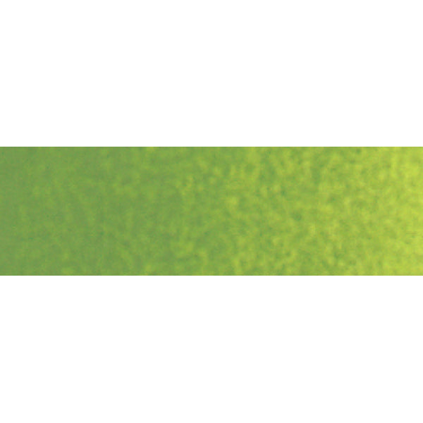Winsor und Newton - Cotman Aquarell - 8ml - SAP Green