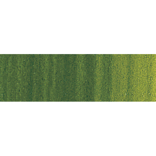 Winsor en Newton - Winton Oil Color - 200 ml - SAP Green (37)