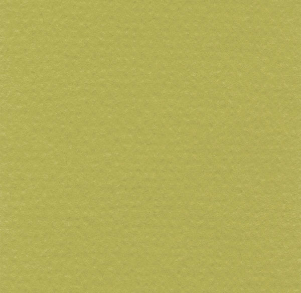 Hahnemühle - Papier pastel - Lanacolours - A4 - Pistache