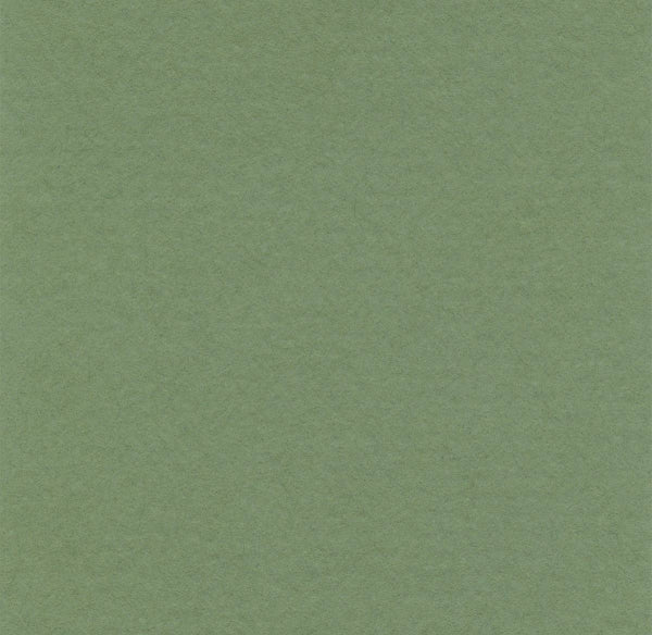 Hahnemühle - Papier Pastel - Lanacolours - A4 - Vert Sève