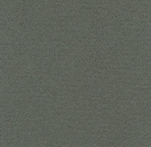 Hahnemuhle - Pastel Paper - Lanacolours - A4 - Ivy
