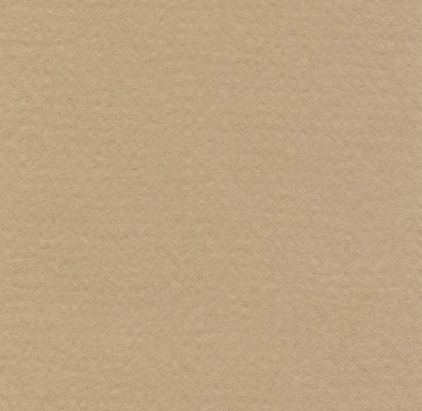 Hahnemühle - Papier Pastel - Lanacolours - A4 - Huître