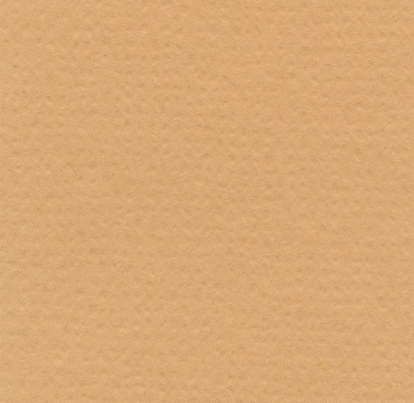 Hahnemuhle - Pastel Paper - Lanacolours - A4 - Sand