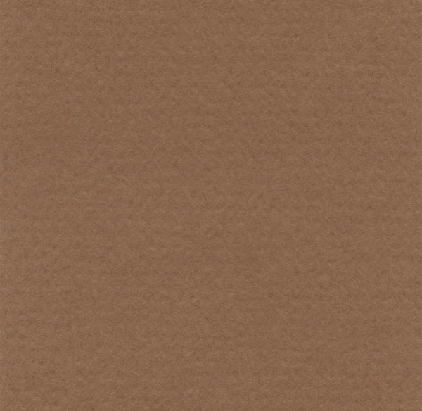 Hahnemühle - Papier pastel - Lanacolours - A4 - Biscuit