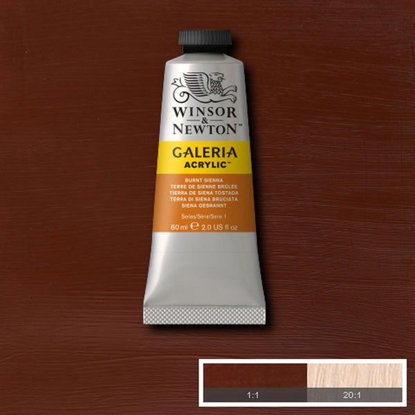 Winsor et Newton - Couleur acrylique de Galeria - 60 ml - Burnt Sienna