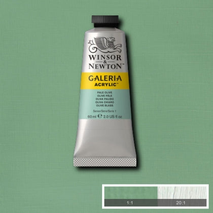 Winsor et Newton - Galeria Couleur acrylique - 60 ml - Olive pâle