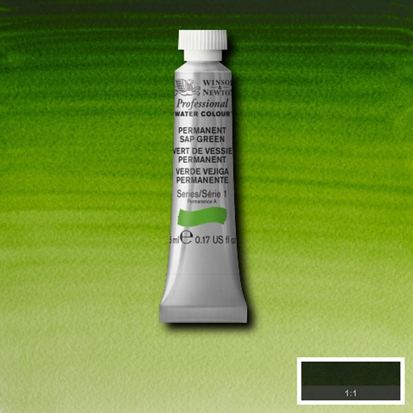 Winsor e Newton - Watercolor degli artisti professionisti - 5 ml - Sap Green permanente