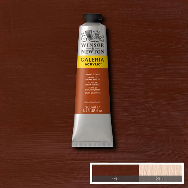 Winsor e Newton - Colore acrilico Galeria - 200 ml Burrt Sienna