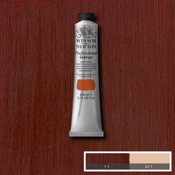 Winsor et Newton - Couleur acrylique des artistes professionnels - 200 ml - Burnt Sienna