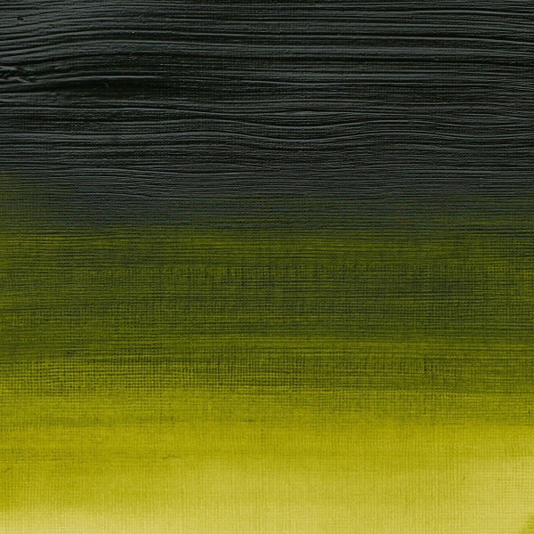 Winsor et Newton - Couleur acrylique des artistes professionnels - 200 ml - Pemanent Sap Green