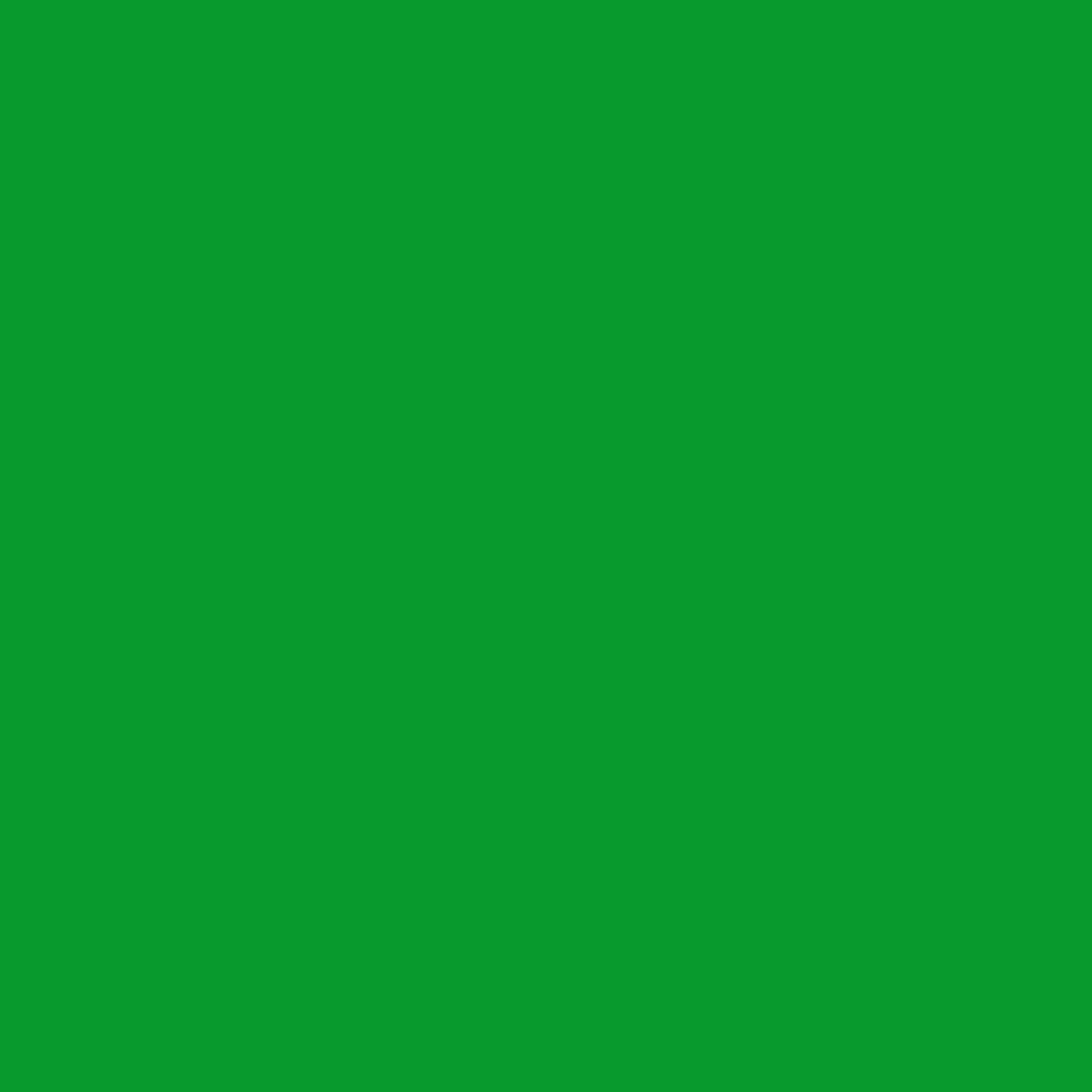 Lefranc Bourgeois - Inchiostri di stampa a blocchi in lino - 250 ml - verde brillante