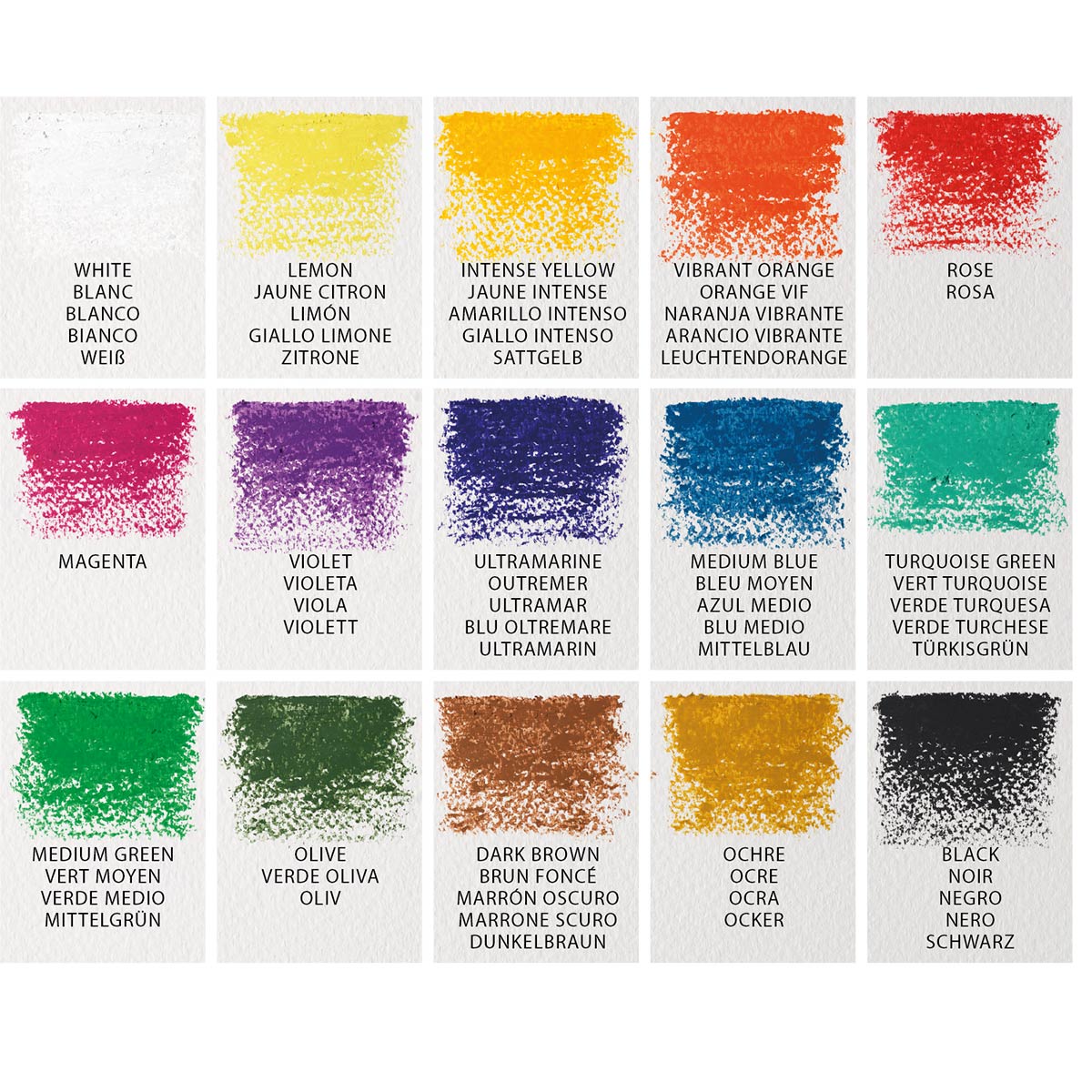 Winsor Newton-Set de 15 pastels à l'huile Fine Artists