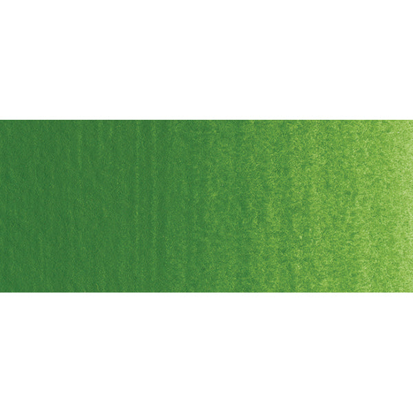 Winsor e Newton - Colore acrilico degli artisti professionisti - 60 ml - Verde di ossido di cromo