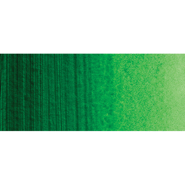 Winsor e Newton - Colore acrilico degli artisti professionisti - 60ml - Hookers Green