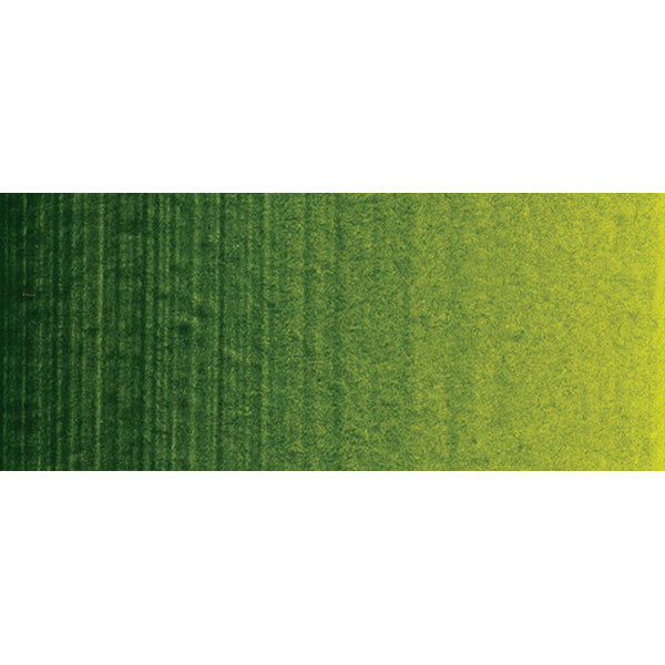 Winsor et Newton - Couleur acrylique des artistes professionnels - 60 ml - vert sève permanent