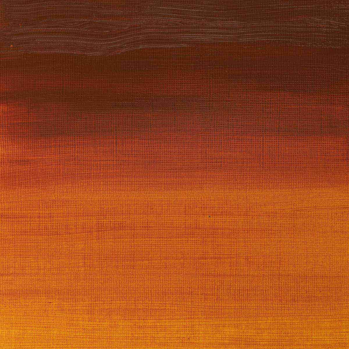 Winsor e Newton - Colore acrilico degli artisti professionisti - 60ml - Quinacridone Gold