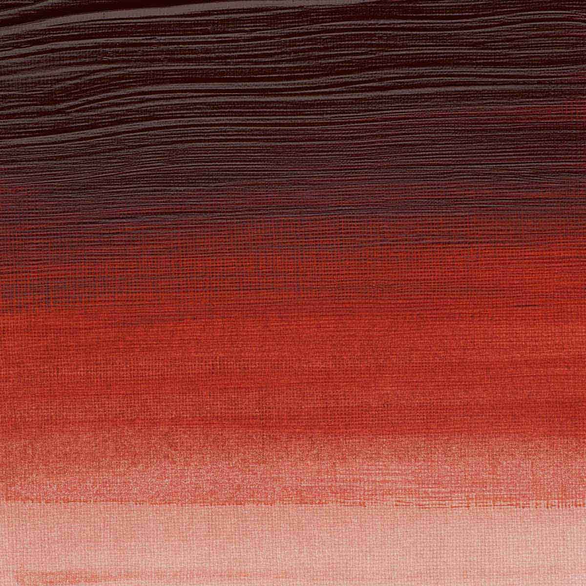Winsor e Newton - Colore acrilico degli artisti professionisti - 60ml - Quincridone Burnt Orange