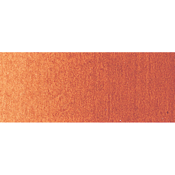 Winsor e Newton - Colore acrilico degli artisti professionisti - 200ml - Sienna bruciata