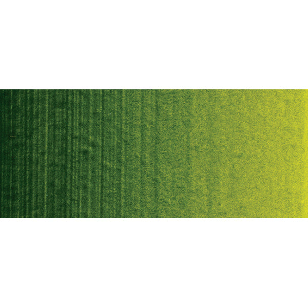 Winsor en Newton - Acryl -kleur van professionele artiesten - 200 ml - Pannent SAP GREEN