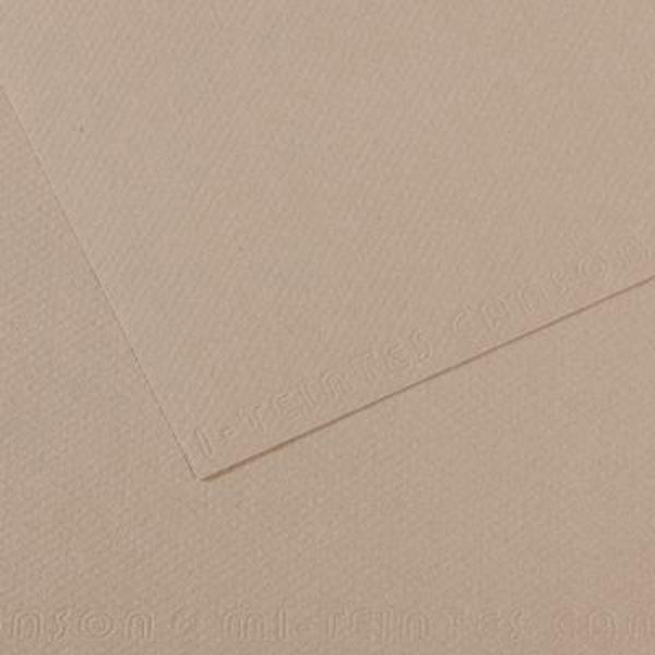 Papier pastel Canson - MI-Tteintes - A4 Gris de flanelle (122)